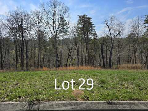 Lot 29 Watauga Lane, Birchwood, TN 37308