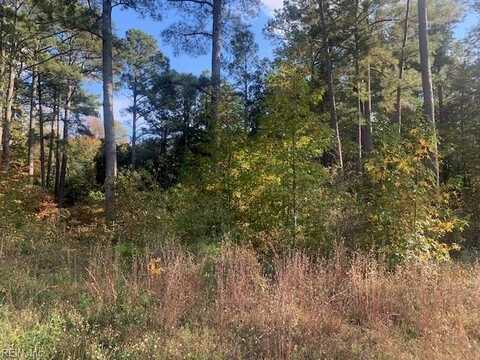 .42AC Pinehaven Road, Courtland, VA 23837