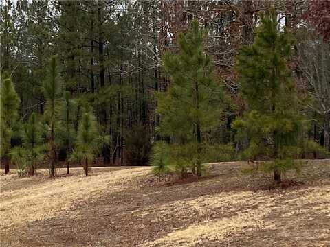 Lot 22 Burnt Mill Road, Surry, VA 23883