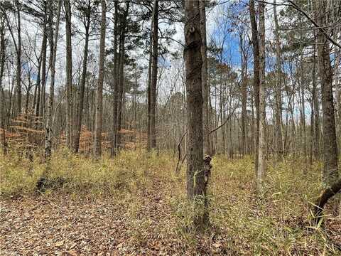 .55ac CLIFTON Street, Suffolk, VA 23435