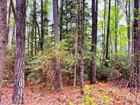 11 Meadowview (Lot 12) Lane, Lancaster, VA 22503