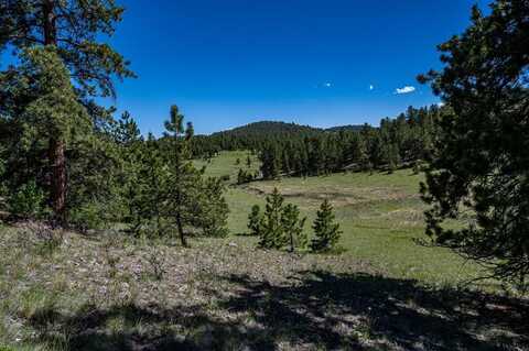 2099 Julia Road, Guffey, CO 80820