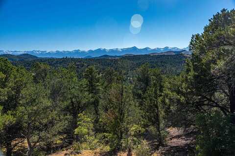 Tr 57 MacDonnell Drive, Cotopaxi, CO 81223