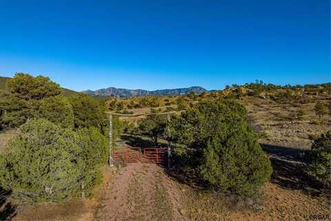 Tbd MacDonnell Drive, Cotopaxi, CO 81223