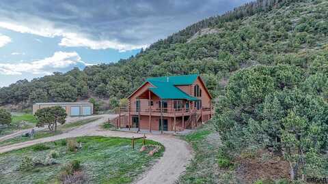 1350 Mitchell Mountain, Westcliffe, CO 81252