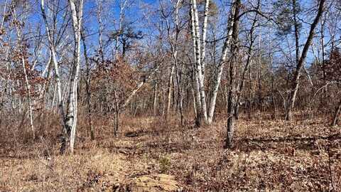Tbd Forest Pines Drive, Nevis, MN 56467