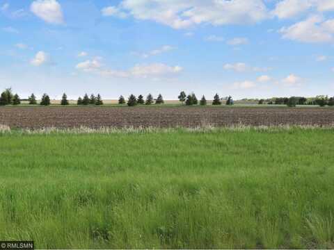 35746 Sharon Prairie Drive, Le Sueur, MN 56058