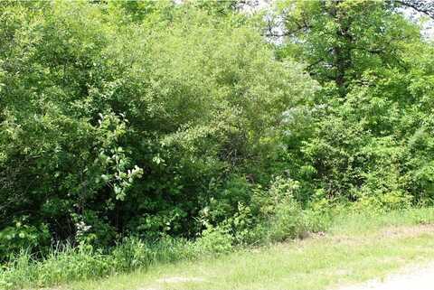 Lot 6 Kingston Way, Walker, MN 56484