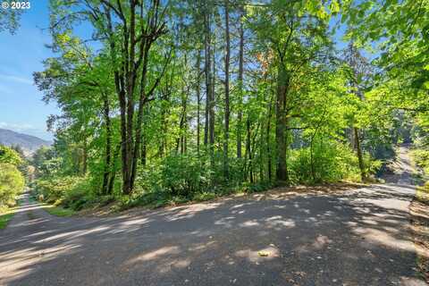 0 SE MAPLE HILL LN, Happy Valley, OR 97086