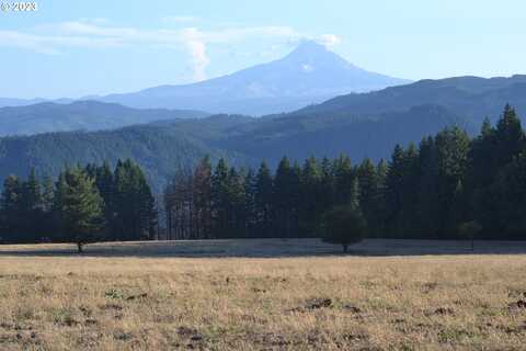 Cook-Underwood RD, Underwood, WA 98651