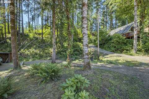 North Shore DR, Birkenfeld, OR 97016