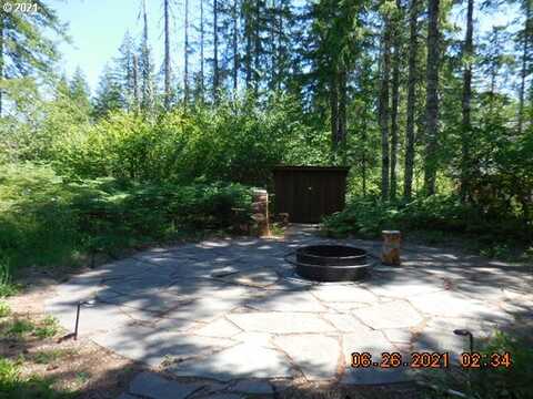 Lot 1 Pine Needle, Cougar, WA 98616