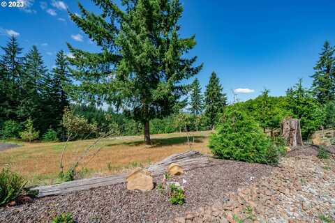 117 Red Hawk DR, Castle Rock, WA 98611