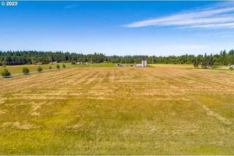 0 NE 167th AVE, Brush Prairie, WA 98606