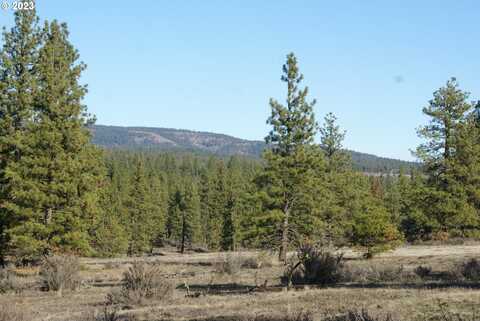 Jenkins Creek RD, Goldendale, WA 98620