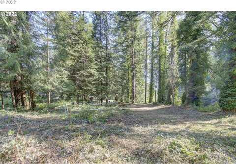 19609 NE LUCIA FALLS RD, Yacolt, WA 98675