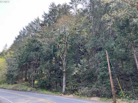 0 CLARKS BRANCH RD, Myrtle Creek, OR 97457