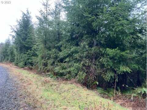 Clatsop Fir Mainline, Seaside, OR 97138