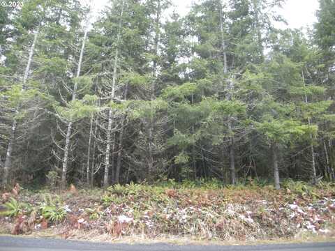 Cleveland RD, Vernonia, OR 97064