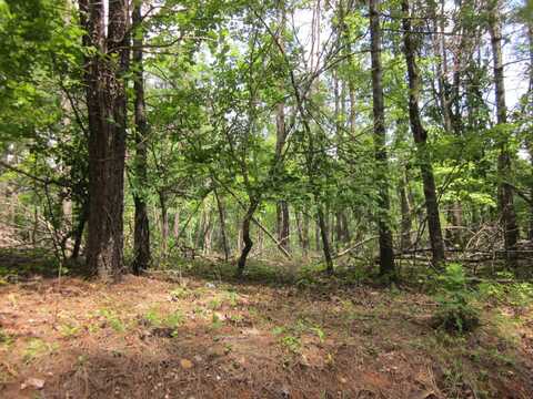 LOT 29 RED VALLEY RD, Boones Mill, VA 24065