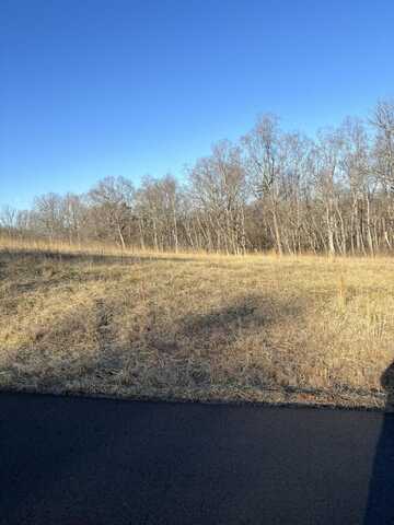 Lot 46 Red Barn LN, Wirtz, VA 24184