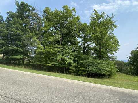 LOT 59 SUMMIT DR, Rocky Mount, VA 24151