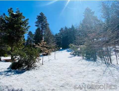 Lot 8 Laurel Trail Vacant Land, Pine Cove Idyllwild, CA 92549