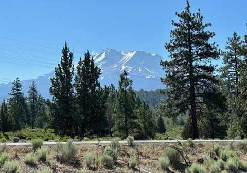 Blk 1 Lot 10 Big Springs Road, Weed, CA 96094