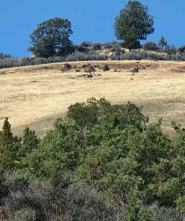 Lot 17 Camp Creek Rd, Hornbrook, CA 96044