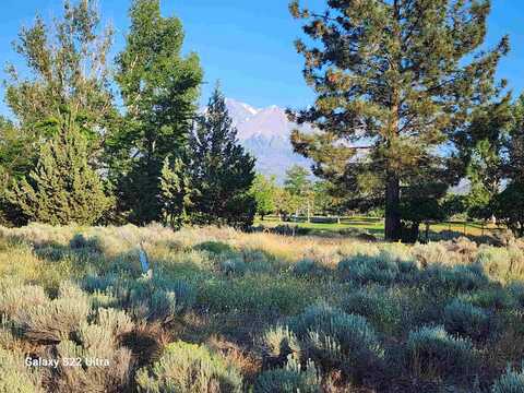 lot 100 Tony Lema, Weed, CA 96064