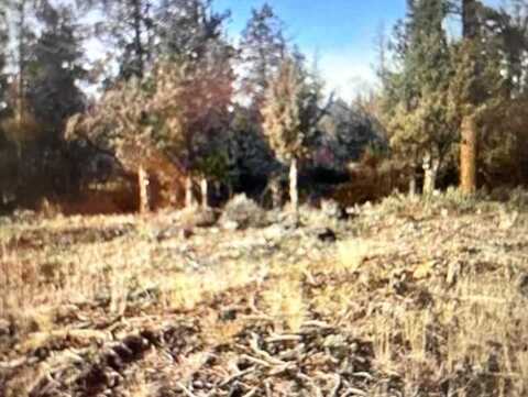 Unit 9-1lot 279 River Side Dr, Weed, CA 96094