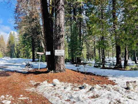 1-L-3 Lava Drive, McCloud, CA 96057