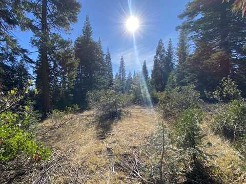 4-F-12 Echo Way, McCloud, CA 96057