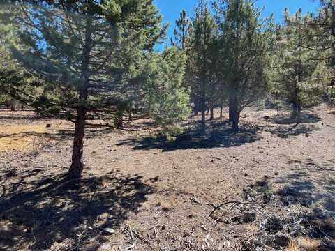 Unit 5-4 Lot 57 Tennis Court, Weed, CA 96094