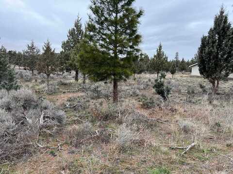 9-1 Lot 204 Mountain Wood, Weed, CA 96094