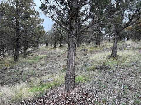 9-1 Lot 76 Saddlehorn, Weed, CA 96094