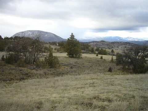 10 acres Omega Rd, Montague, CA 96064