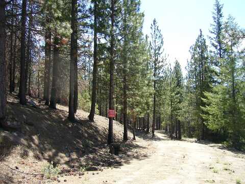 160 acres Mt Bolivar, Callahan, CA 96014