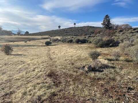 Unit 3 Lot 36 Iron gate Lake Est, Hornbrook, CA 96044