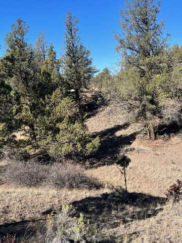 Lot 269 Desavado, Montague, CA 96064