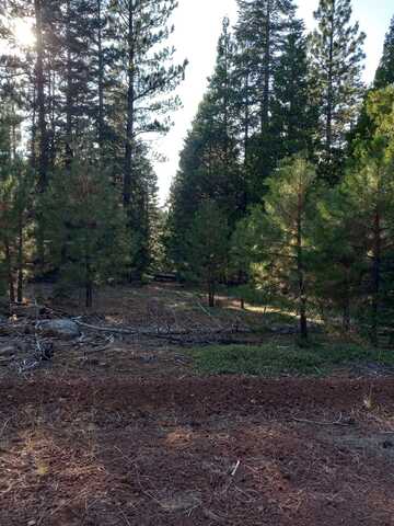 Unit 2 Lot 29 Mount Bullion, Out of Area, CA 96101