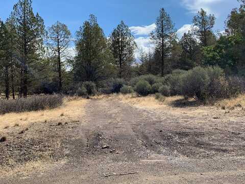 Unit 4 Lot 167 Bass Ct, Hornbrook, CA 96044