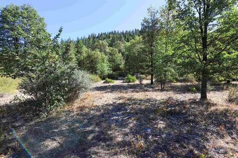 9.2 acres Spring Hill Drive, Mount Shasta, CA 96067