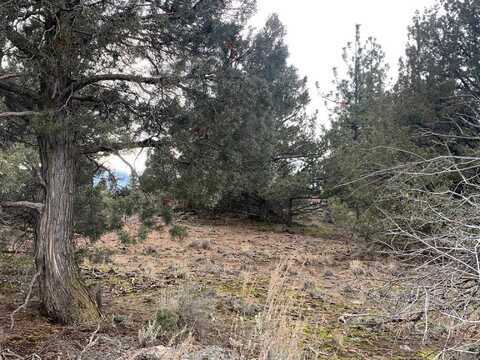 Unit 4 Lot 435 Falcon Point, Weed, CA 96094