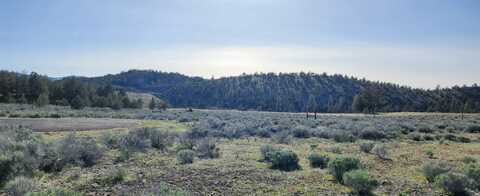 Lot 30 Silver Spur, Weed, CA 96094