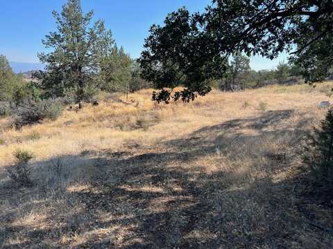 Unit 3 Lot 94 Whidgeon Pl, Hornbrook, CA 96044