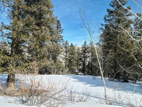 806 MIDDLE FORK, Fairplay, CO 80440
