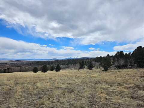 508 LUMBER JACK ROAD, Fairplay, CO 80440