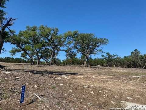 276 Kellog, Fischer, TX 78623