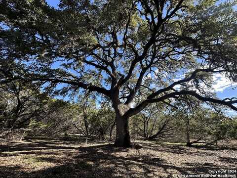 Lot 20 VAQUERO, Pipe Creek, TX 78063